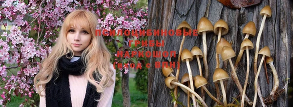 мефедрон Медвежьегорск